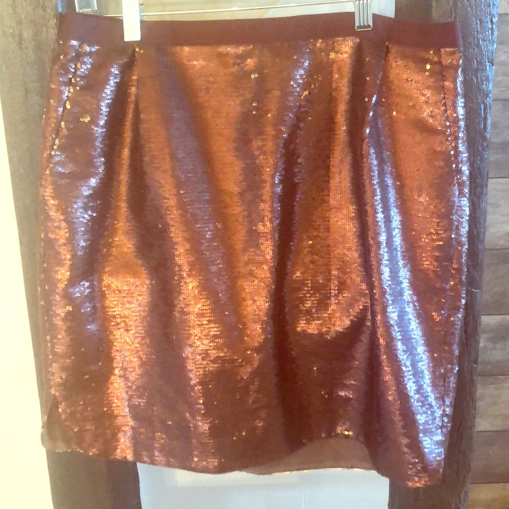 J Crew Bronze Sequin Skirt, size 10 T